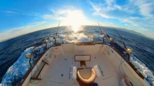 Charter Pesca atún Rojo Estrecho de Gibraltar