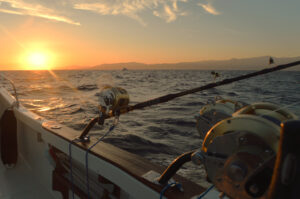 Charter Pesca atún Rojo Estrecho de Gibraltar
